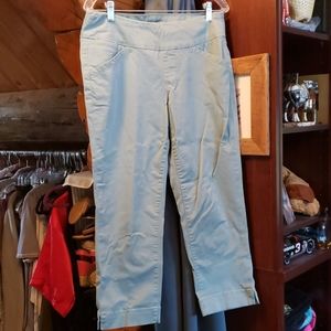 Jag Jean's Blue Cropped